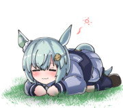 香箱座りセイウンスカイ