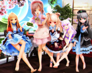 【今日のレア様】おみあしさんを 寄せ合うの…♡