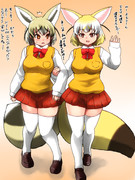 フェネックとオジロスナギツネの違い