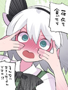 びっくりしちゃった妖夢ちゃん！