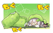 若草あかり。