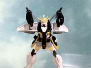 ﾌﾟｯﾋﾟｶﾞﾝ