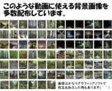 【フリー素材配布】動画に使える背景用素材の配布です