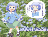 オオイヌノフグリ