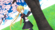 さくらさくら