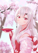 桜舞う