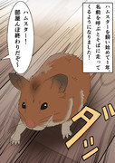 ハムスターを飼いはじめて1年近く経った結果