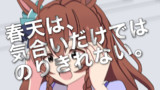 z会ブライト
