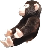 モンQ横向き