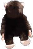 モンQ後ろ向き