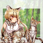 オセロット