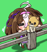 猫吸いメイショウドトウ