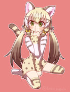 ジョフロイネコちゃん