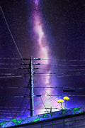 電信柱
