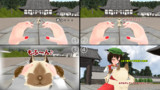 ネコのスヌートチャレンジ