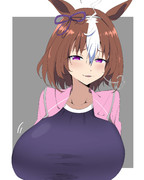 メイショウドトウ