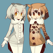 アフリカオオコノハズクちゃんとワシミミズクちゃん