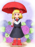 雨の日ルーミア