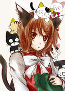 うちの橙知りませんか？