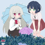 ソフィーちゃんと紫陽花