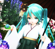 初音と 梅雨を彩る和菓子…♪