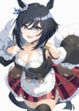エイシンフラッシュ