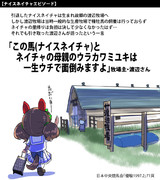 【ウマ娘】この牧場で【ナイスネイチャ】