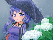 白い紫陽花が好き