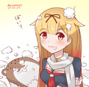 部屋を綿まみれにするぽいぬ