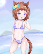 ビコーペガサス