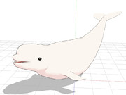 【配布】シロイルカ【MMD】