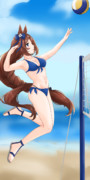 水着クリーク