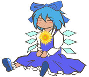 本日のチルノさん（問1711：文字無し版）