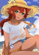 ひまわり
