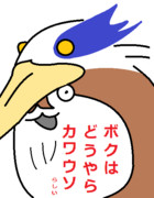 ボクはどうやらカワウソ