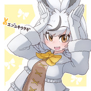 エゾユキウサギ