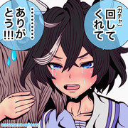 【カツラギエース】