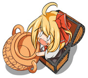 新たな入れ物の内見をするルーミア