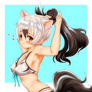 サマーアードウルフ