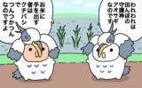 アオサギ博士助手