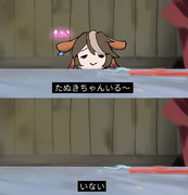 たぬきちゃんいる～