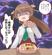 風雲と飛龍さんのハム