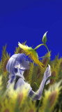 「夏」