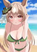 水着サトノダイヤモンド