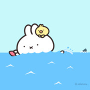 水泳の日