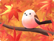 秋のシマエナガちゃんと照る山紅葉