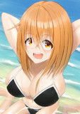 残暑見舞い申し上げます