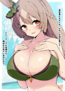 成長期のダイヤちゃん