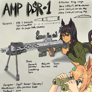 AMP DSR-1