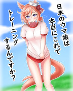 日本のトレセン学園でトレーニングするヴェニュスパーク